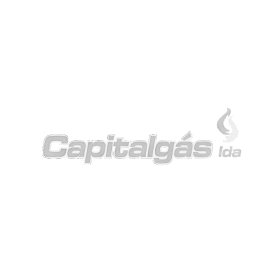 Capitalgas logo grijs Pt klant