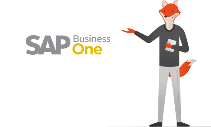 SAP koppeling met OutSmart